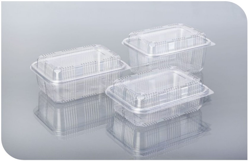 Hinged Box in different sizes