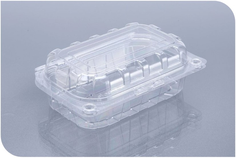 Kiwi Punnet Container