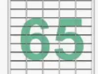 Desmat A4 St 65 Label 100 Sheet