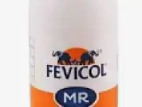 Fevicol (20gm)